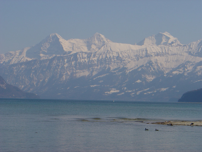 Eiger Mönch und Jungfrau