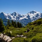 Eiger, Mönch und Jungfrau