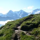 Eiger, Mönch und Jungfrau. Berner Oberland CH