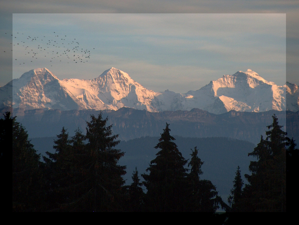 Eiger, Mönch und Jungfrau - das Schattenkreuz