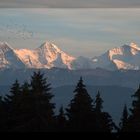 Eiger, Mönch und Jungfrau - das Schattenkreuz