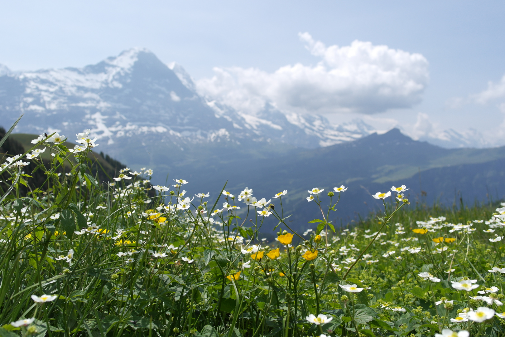 Eiger, Mönch und Jungfrau (Samsung NX1000)