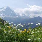 Eiger, Mönch und Jungfrau (Samsung NX1000)