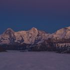 Eiger, Mönch,Jungfrau im Abendlicht