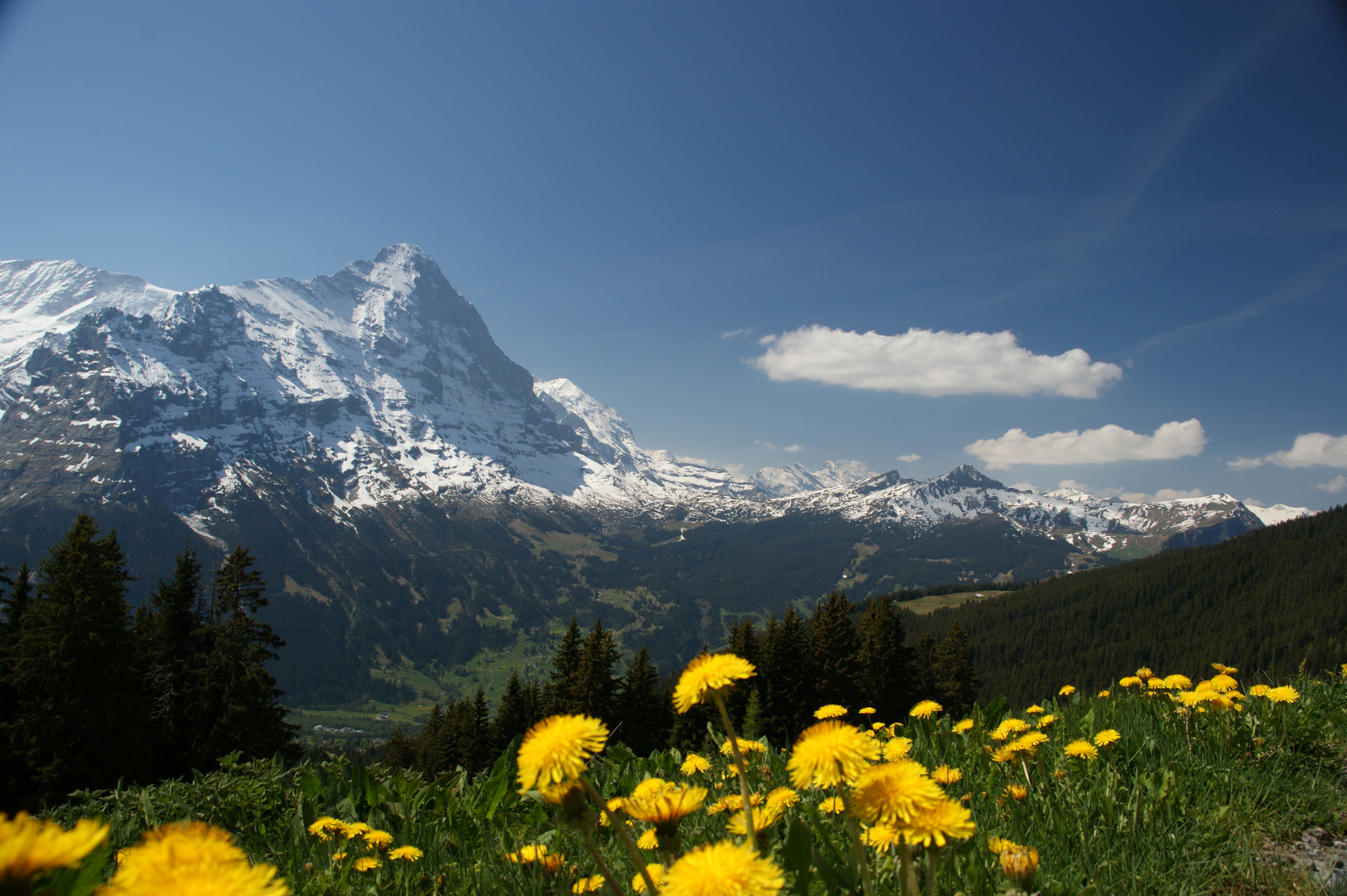 Eiger und Kleine Scheidegg, Berner Oberland