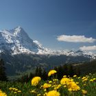 Eiger und Kleine Scheidegg, Berner Oberland