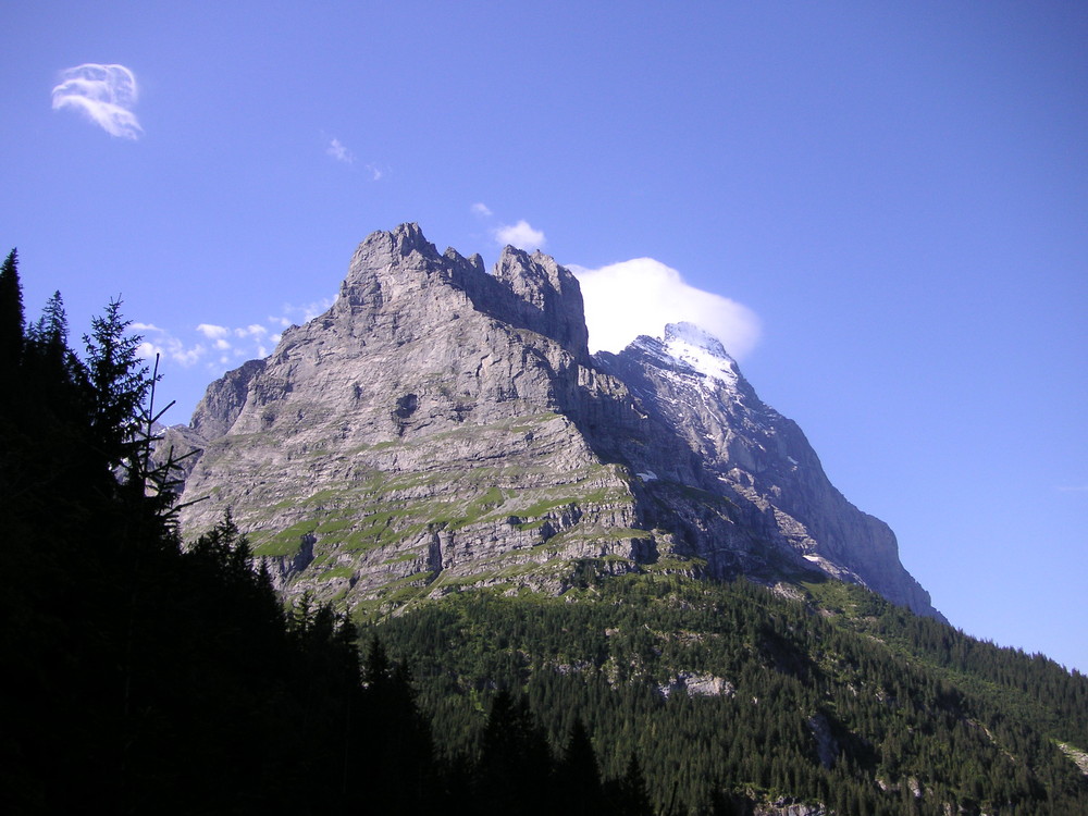 Eiger von Seite Bäregg