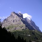 Eiger von Seite Bäregg