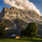 Eigerblick