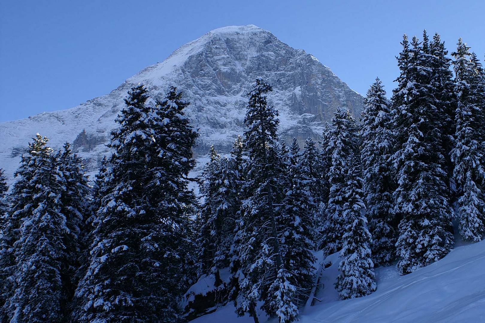 Eigergipfel