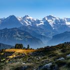 Eiger_Mönch_Jungfrau