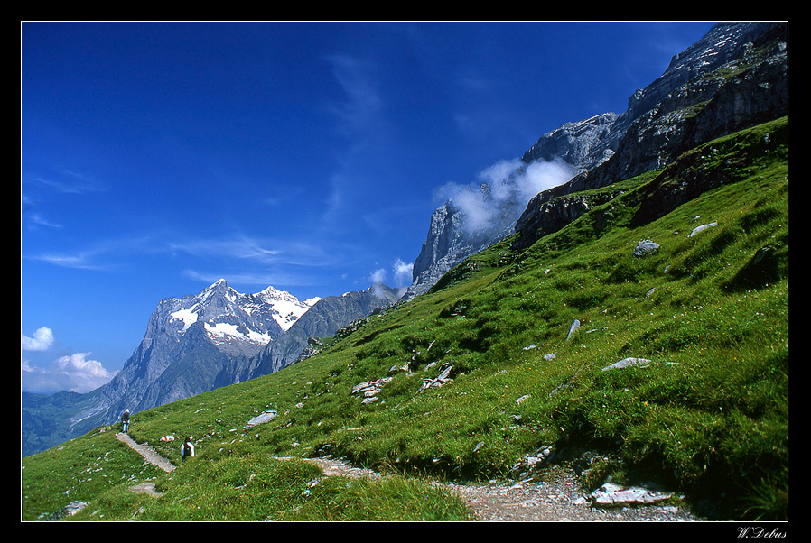 Eigertrail Analog