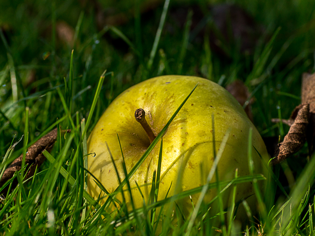 Eiin einsamer Apfel...