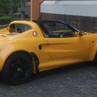 Eiin Parkender Lotus in Gelb  