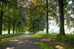 Eijsden - Forest Trail between Eijsden Castle and Kruisstraat