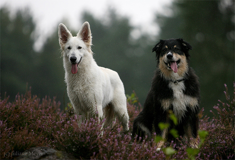 Eika und Flake