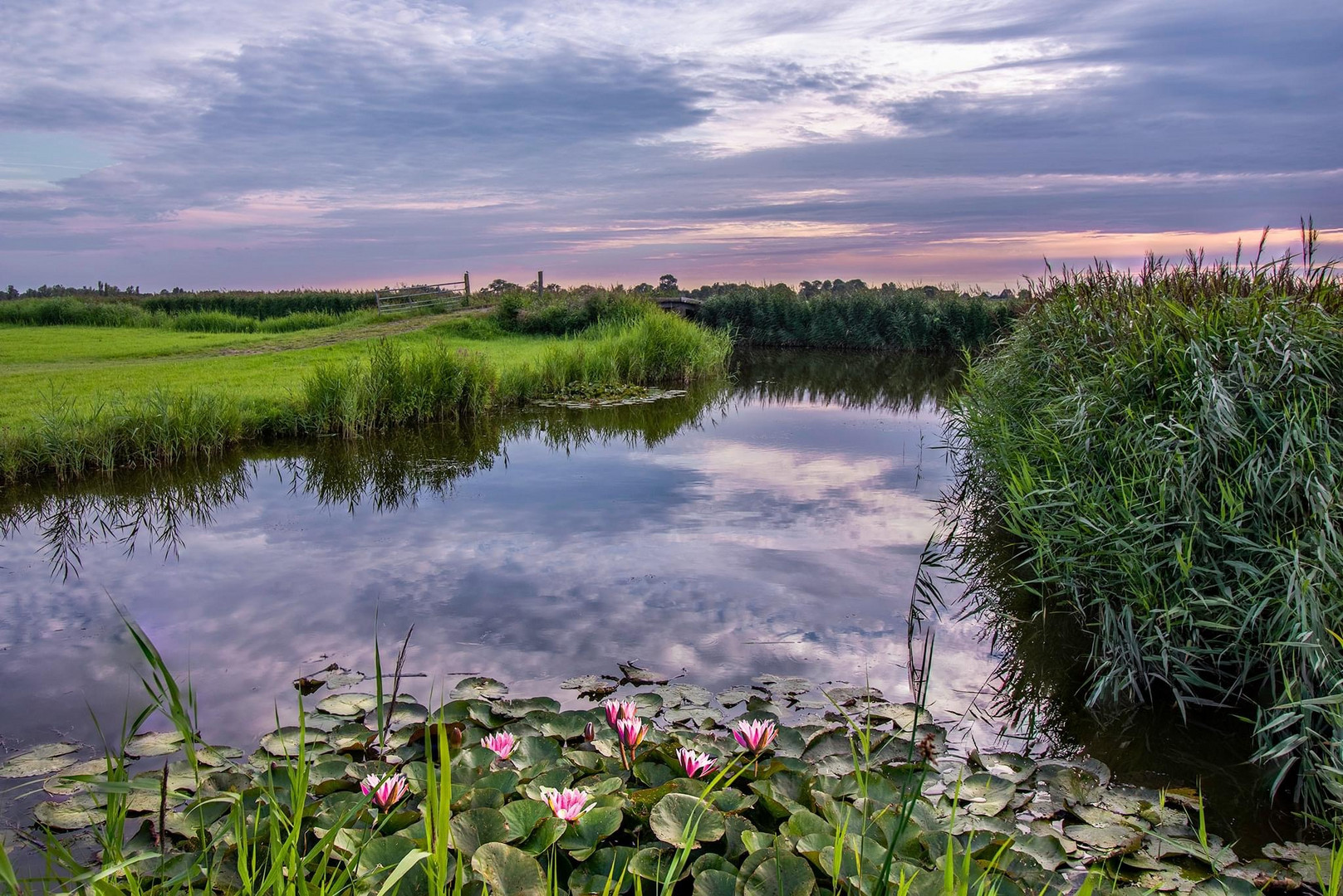 Eilandspolder, Noord-Holland 