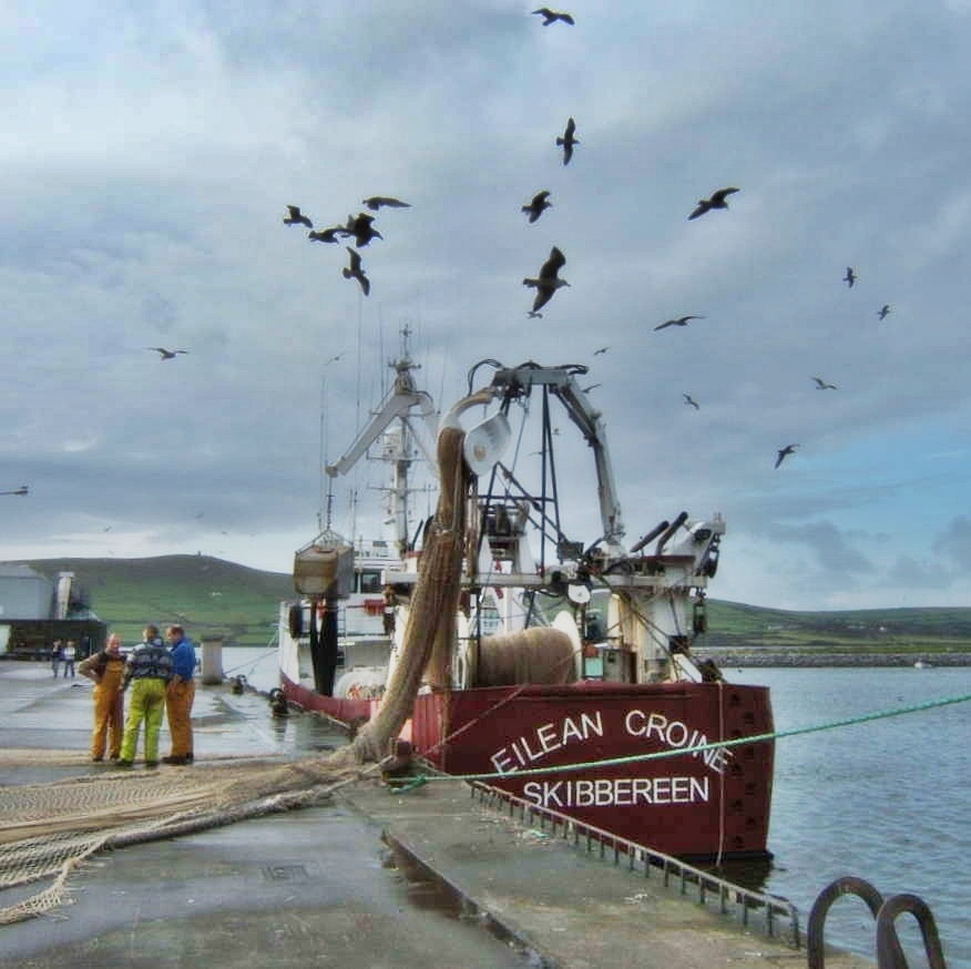 Eilean Croine Skibbereen 