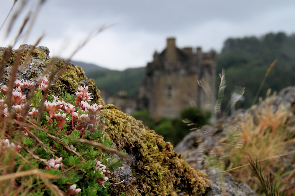 Eilean Donan Castle