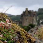 Eilean Donan Castle