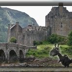 Eilean Donan Castle