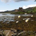 Eilean Donan Castle