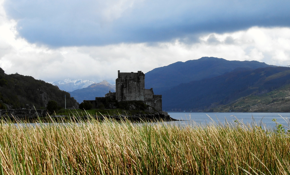 Eilean Donan Castle durchs Schilfgras oder was immer das auch ist