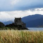 Eilean Donan Castle durchs Schilfgras oder was immer das auch ist