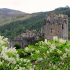 Eilean Donan Castle, Scotland, Mai 2014