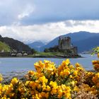 Eilean Donan Castle von Blumen umrahmt