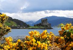 Eilean Donan Castle von Blumen umrahmt