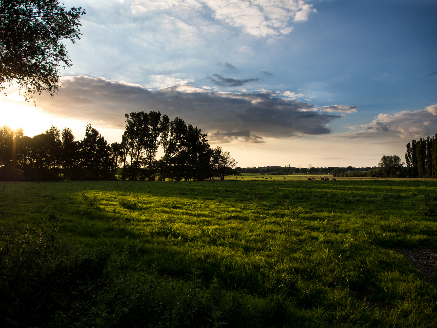 Eilendorfer Feld