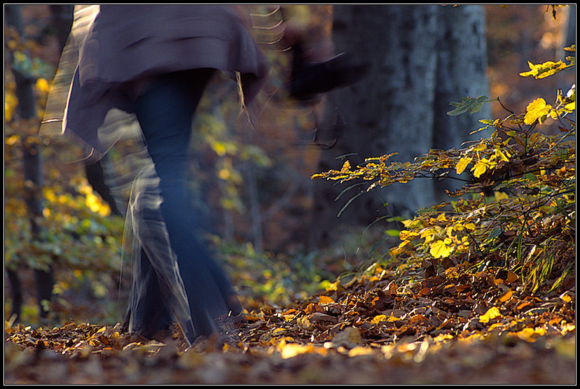 Eilig in den Herbst...