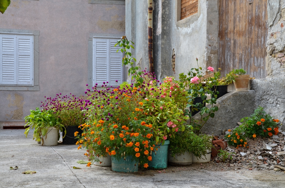 eimerweise Blumen