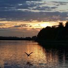 ...ein Abend am Kiel-Canal....