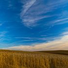 Ein Abend am Kornfeld