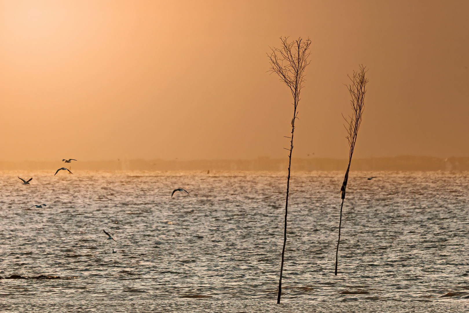 Ein Abend am Meer