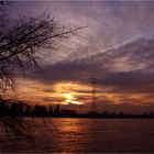 Ein Abend am Rhein ...