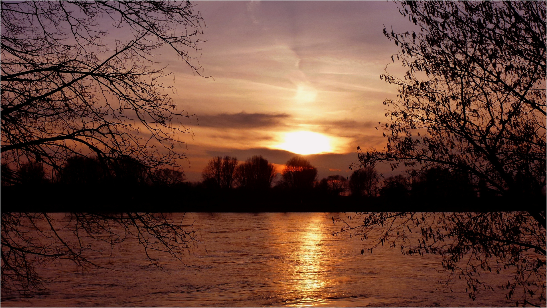 Ein Abend am Rhein ...