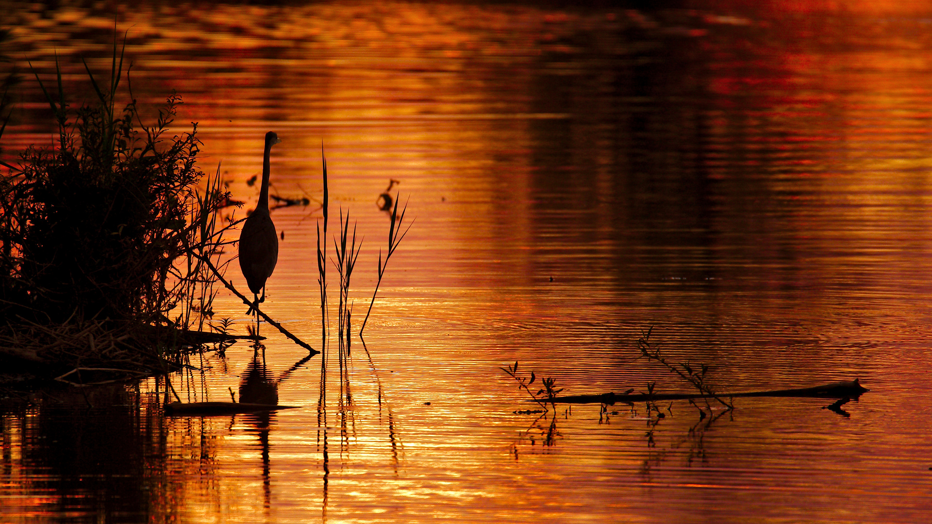 Ein Abend am See 