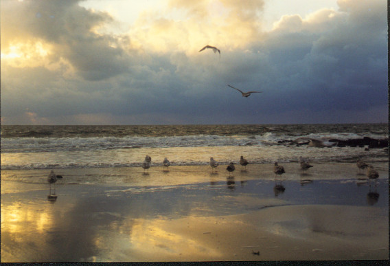 Ein Abend am Strand