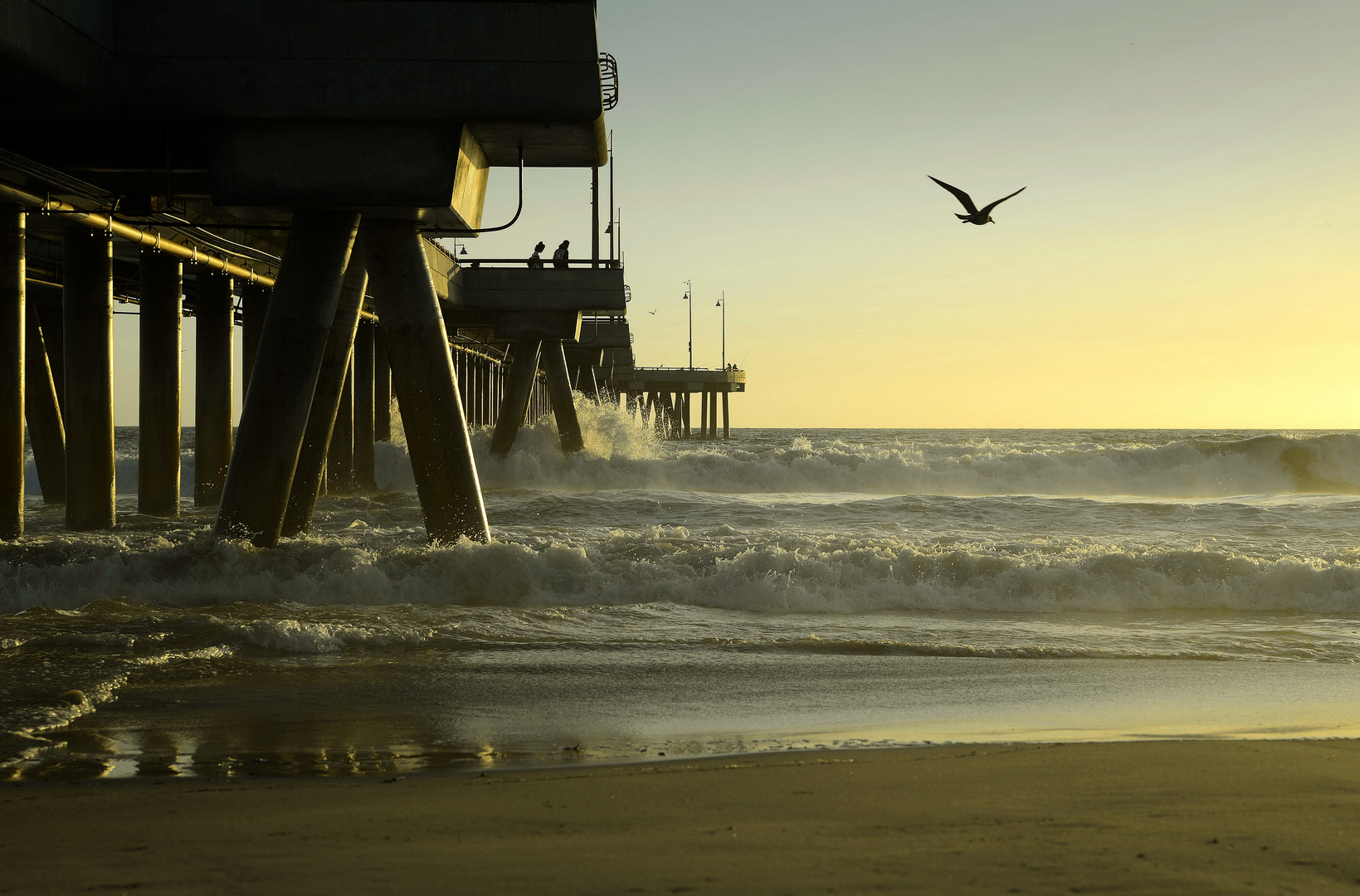 Ein Abend am Venice Beach