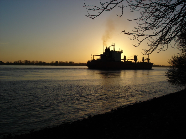 Ein Abend an der Elbe