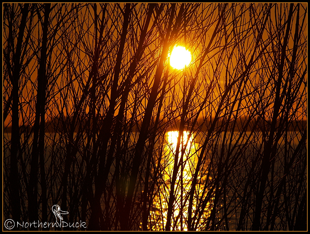 Ein Abend an der Elbe