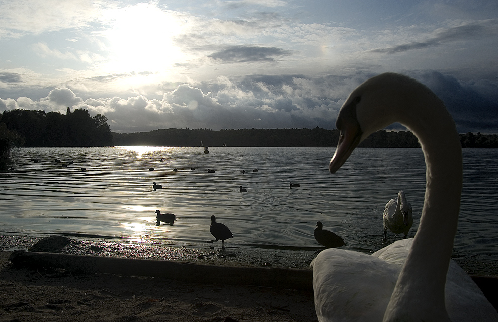 Ein Abend an der Havel...