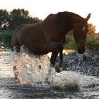 Ein Abend an der Weser