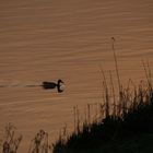 Ein Abend an der Weser