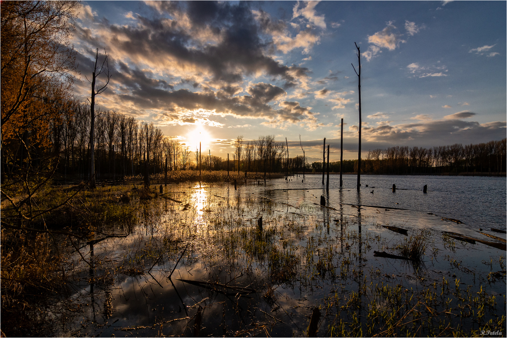 Ein Abend an der Westerwiese...