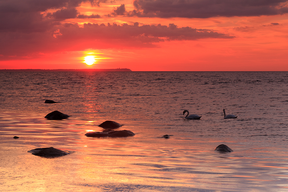 Ein Abend auf Rügen