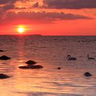 Ein Abend auf Rügen